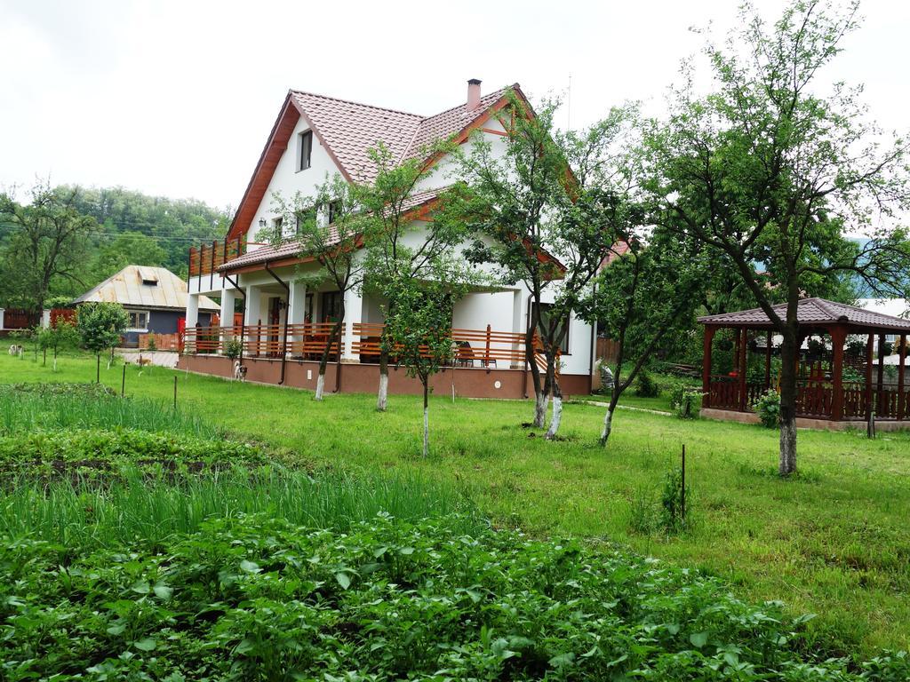 Pensiunea Tania-Nora Alexandru cel Bun Exterior photo